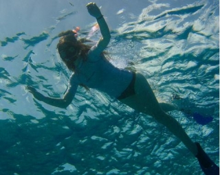 Visita guiada de snorkel
